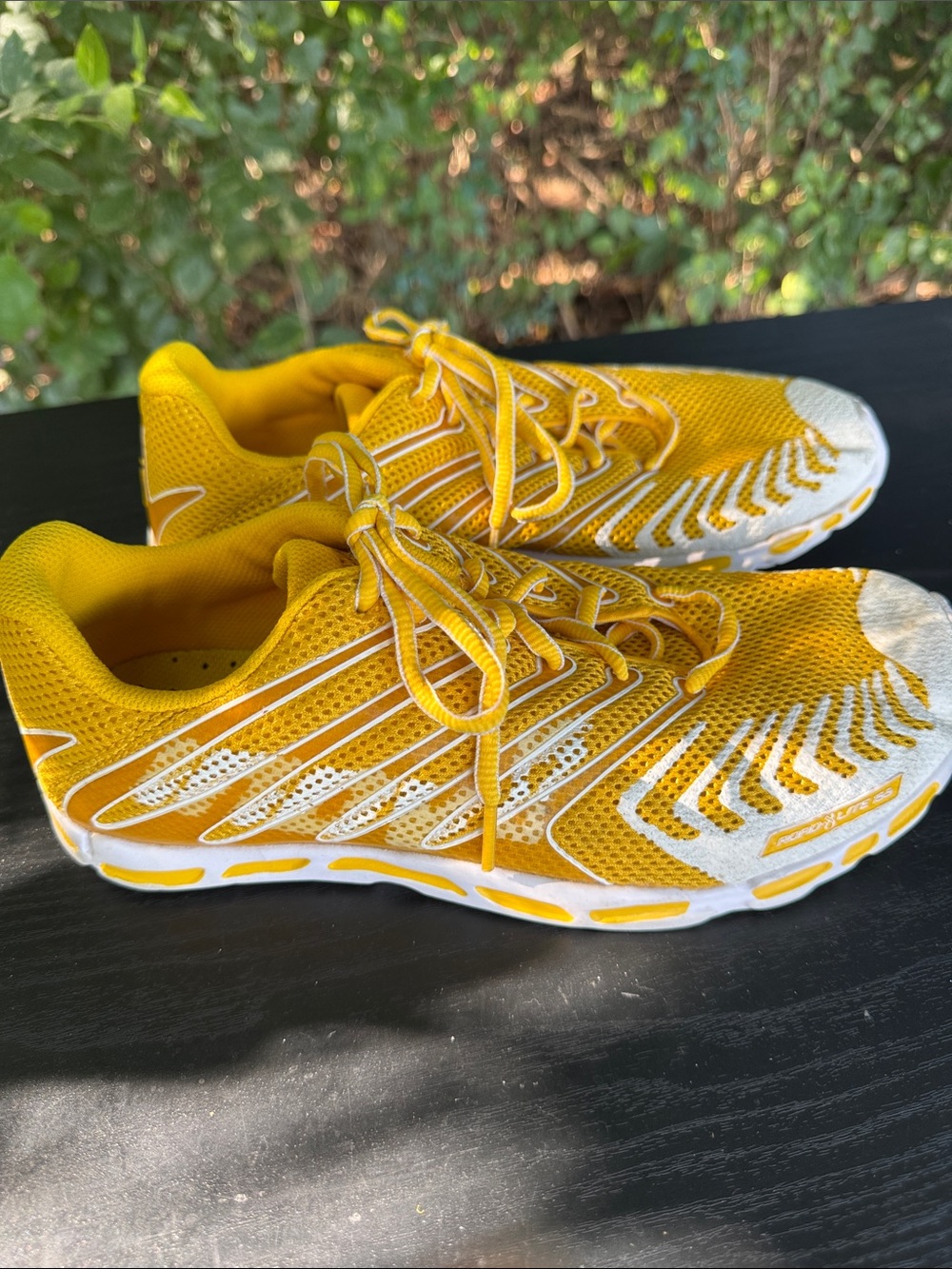 Audi Terradaptor Mesh Athletic Sneakers